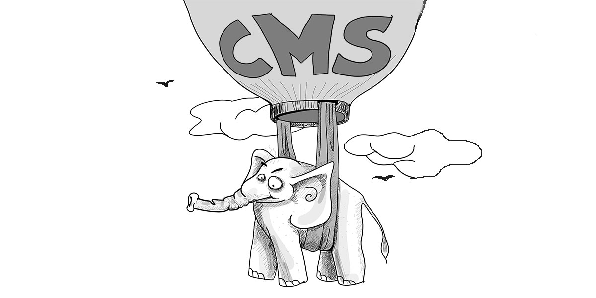 למה CMS