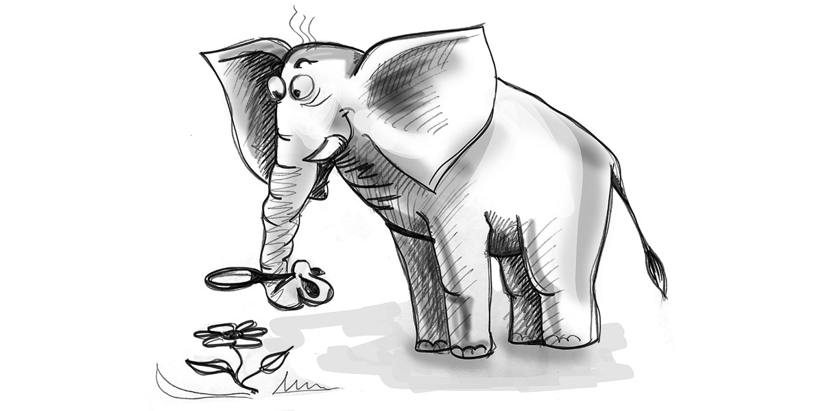 פרט חשוב ראשון (ראה פוסט הקודם)