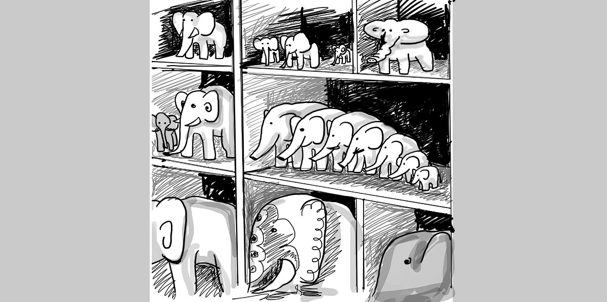 איפה קונים פיל?